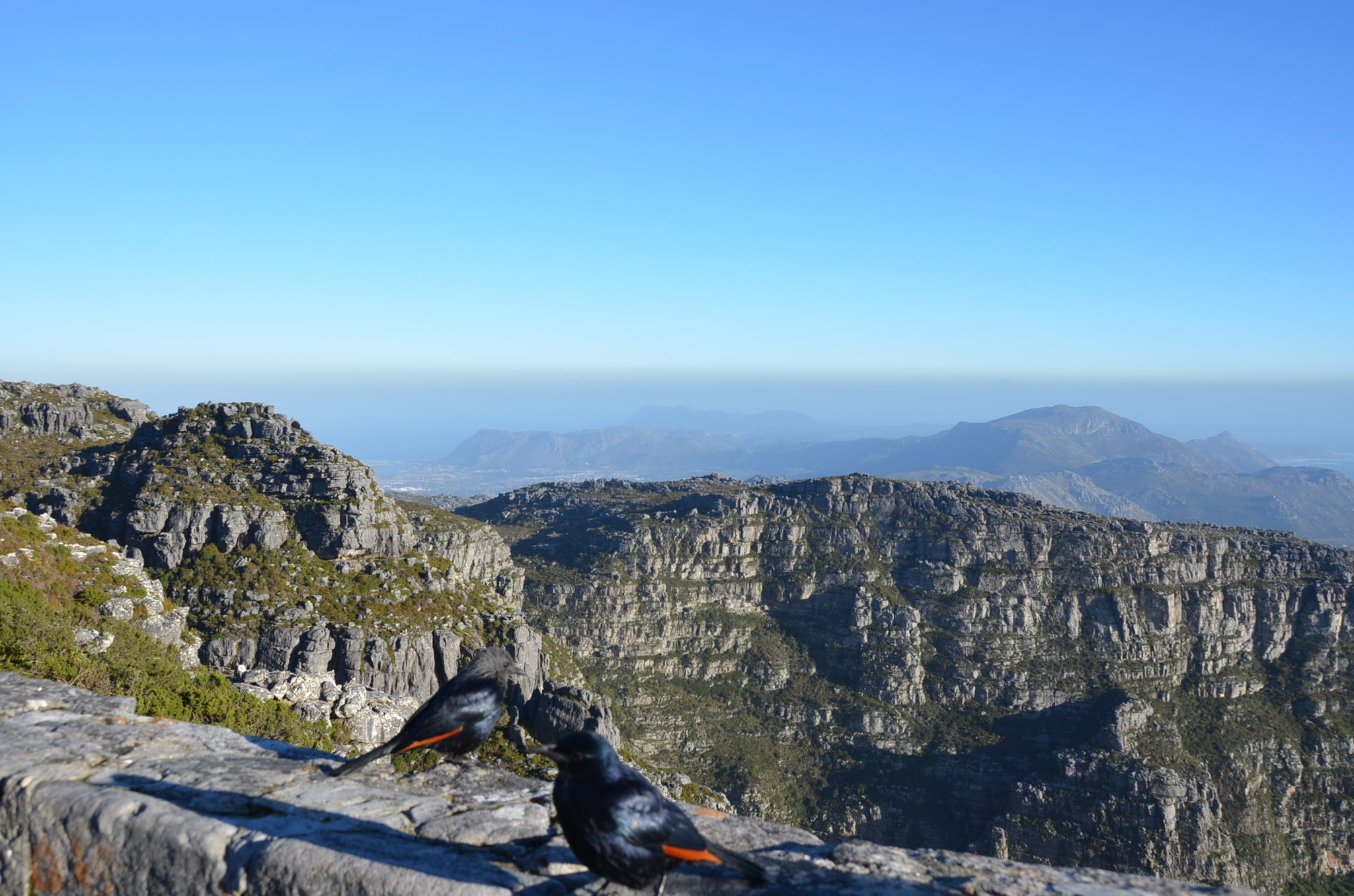 テーブル・マウンテンから。奥真ん中の黒くなっている部分が喜望峰のある辺り