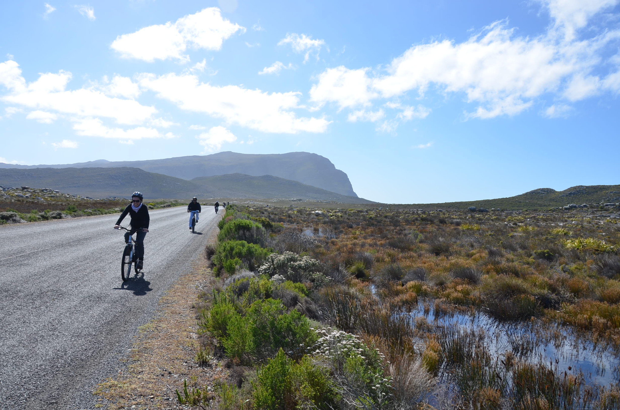 喜望峰周辺は国立公園。サイクリングしました