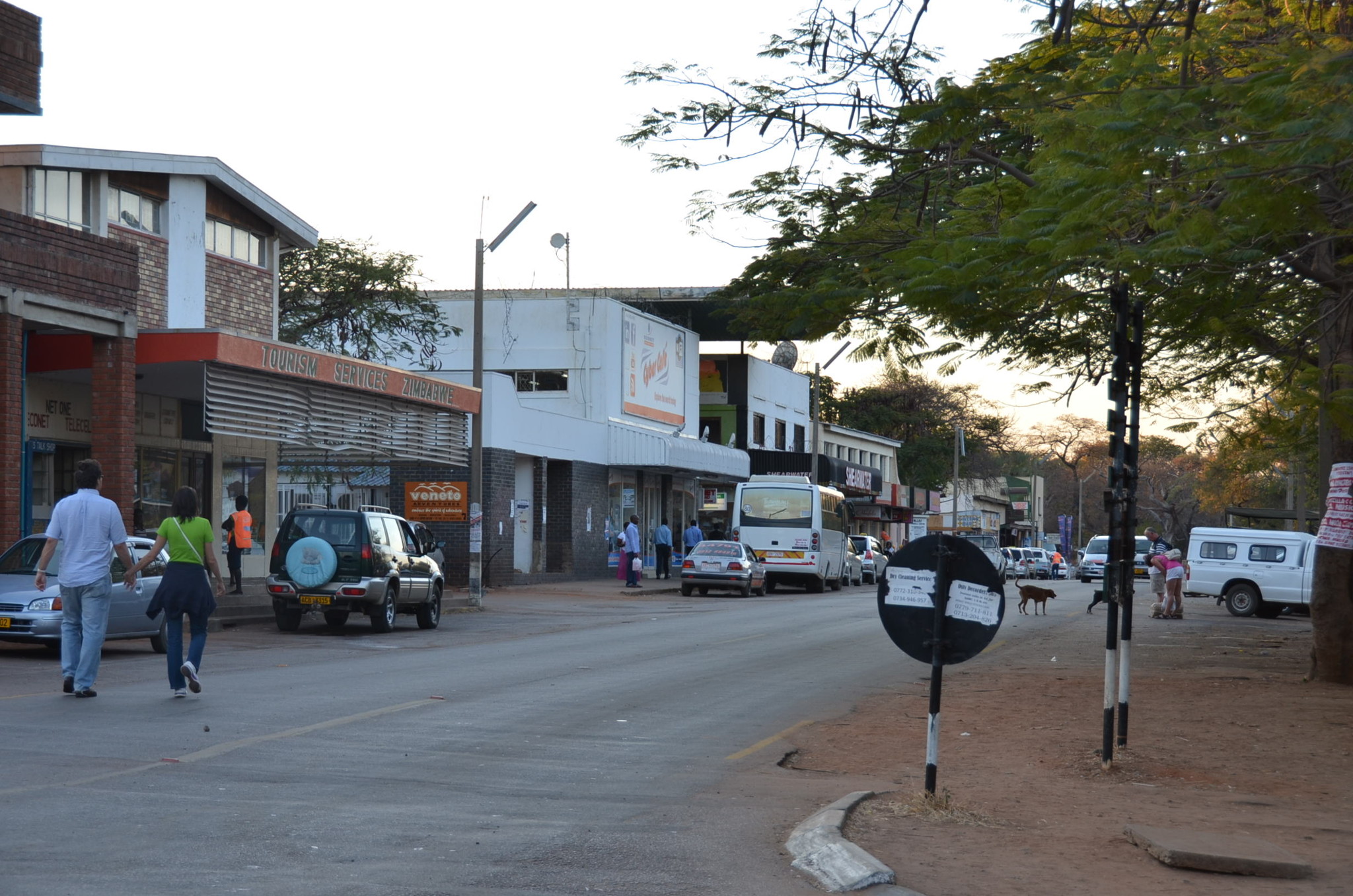 ヴィクトリアフォールズ市内、普通にサルがいる