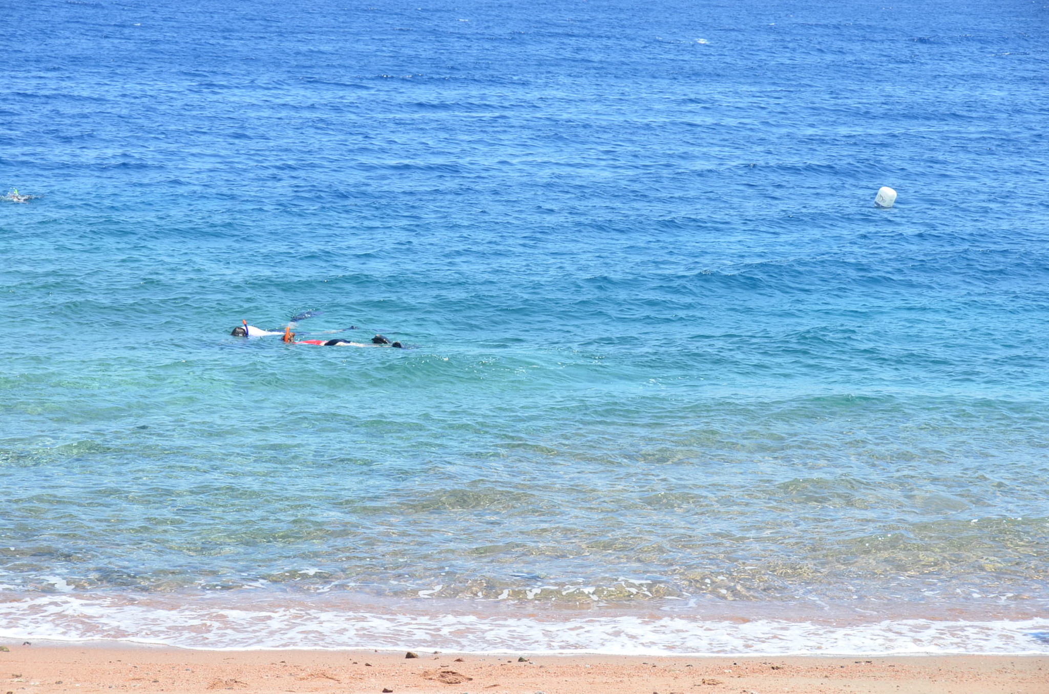 海はかなり綺麗。シュノーケルでもたくさんの魚が観られます