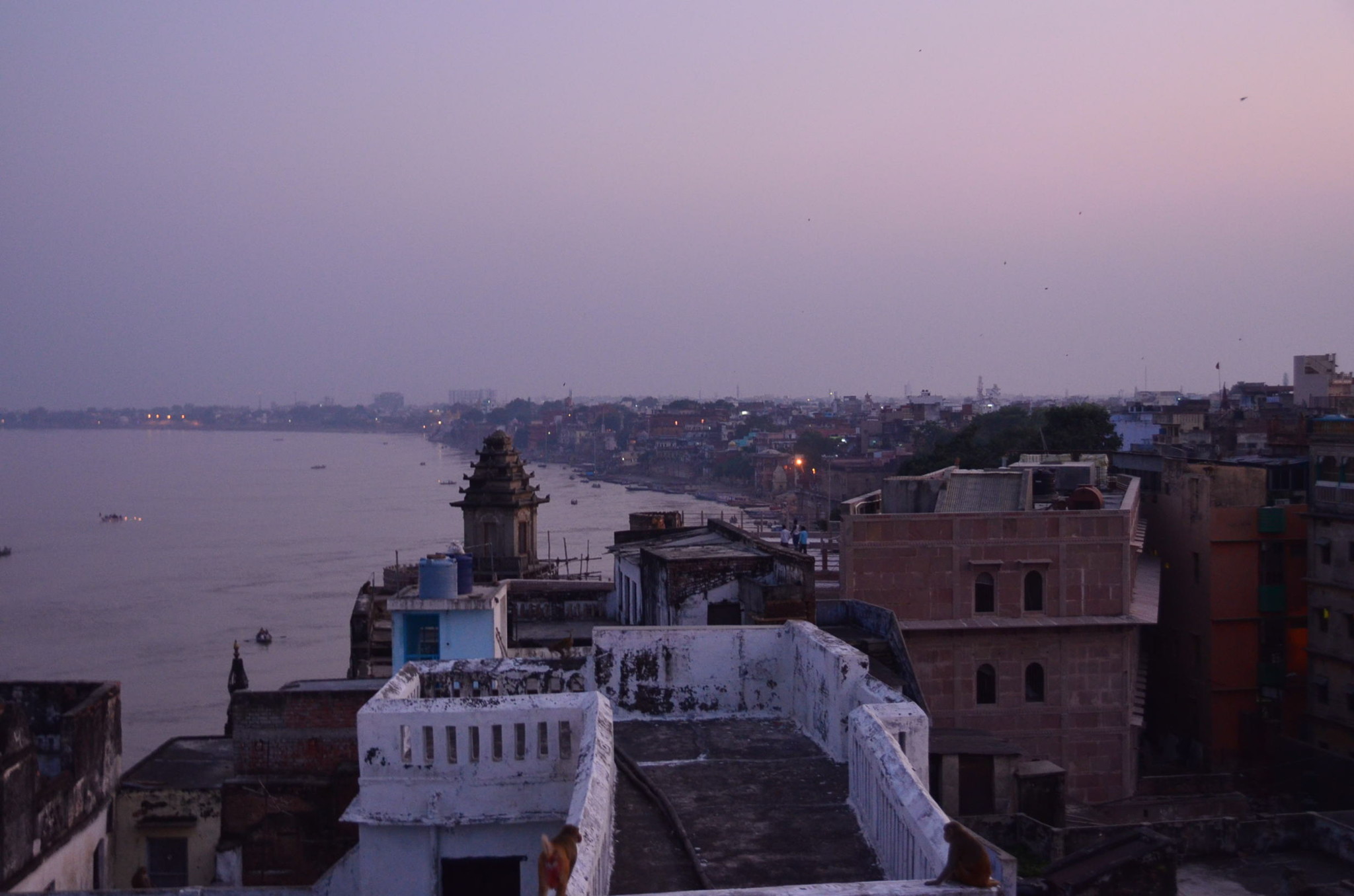 夕方のガンガー。サルもたくさんいます