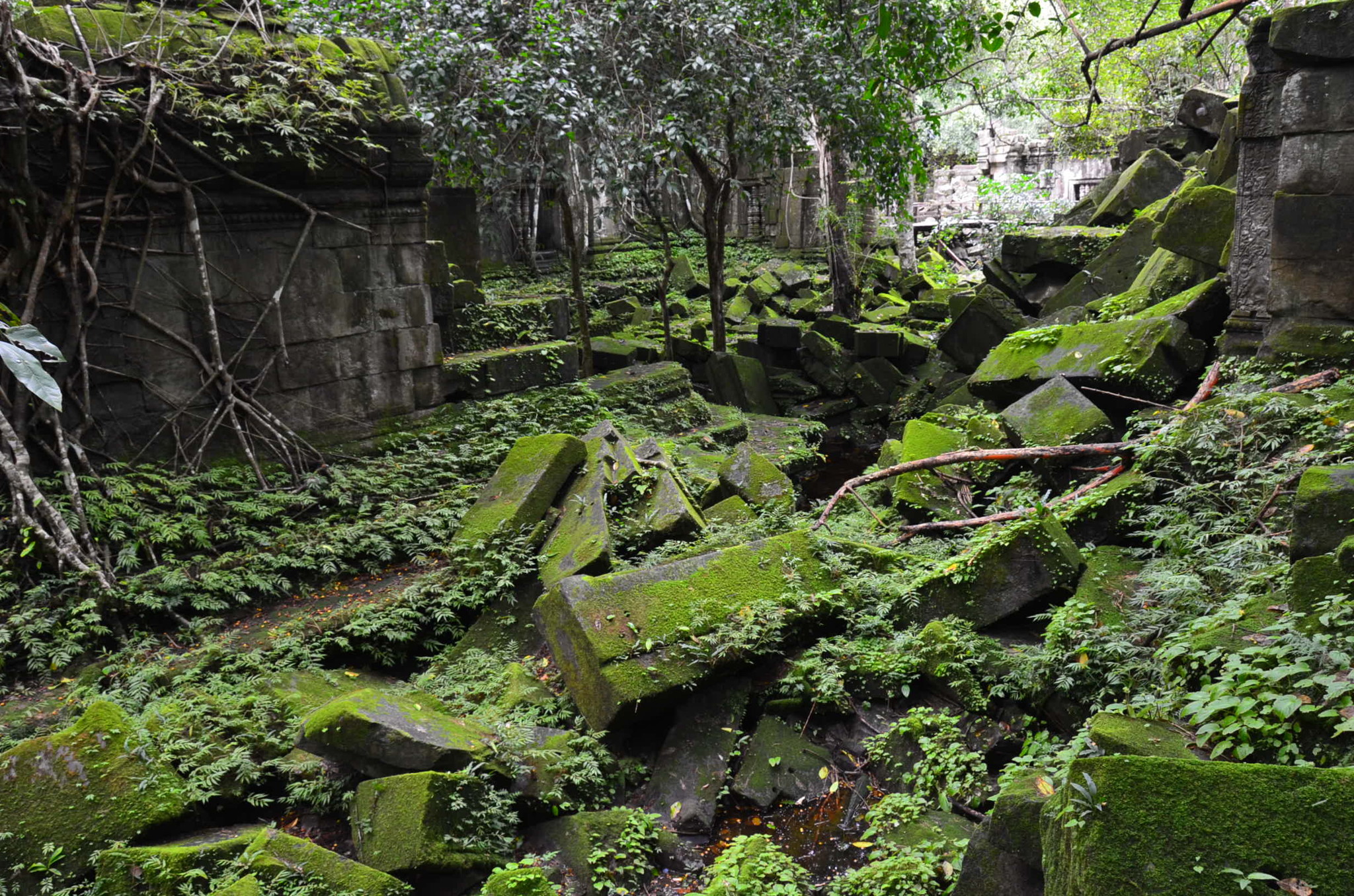 ベンメリア遺跡4