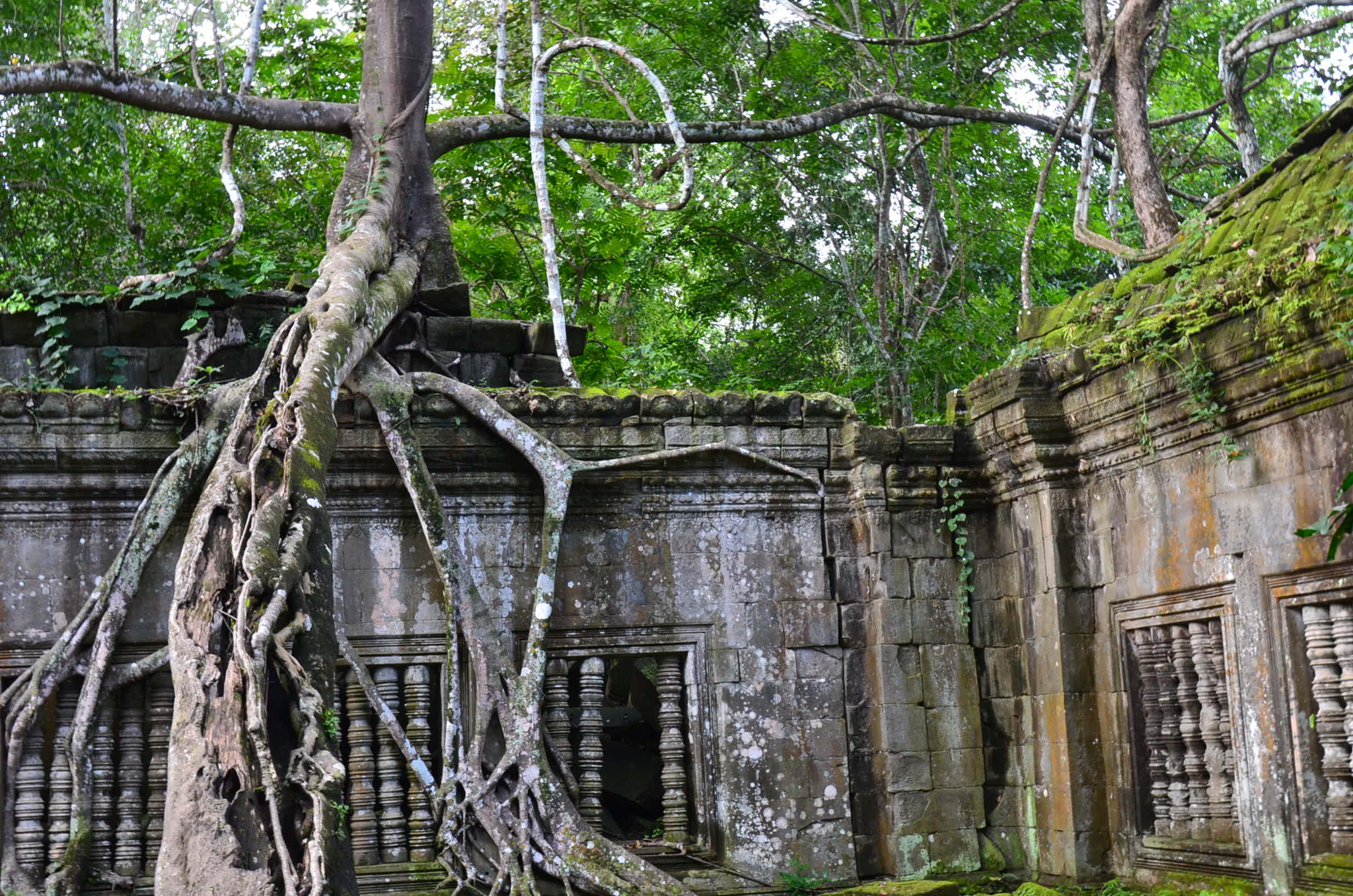 ベンメリア遺跡8