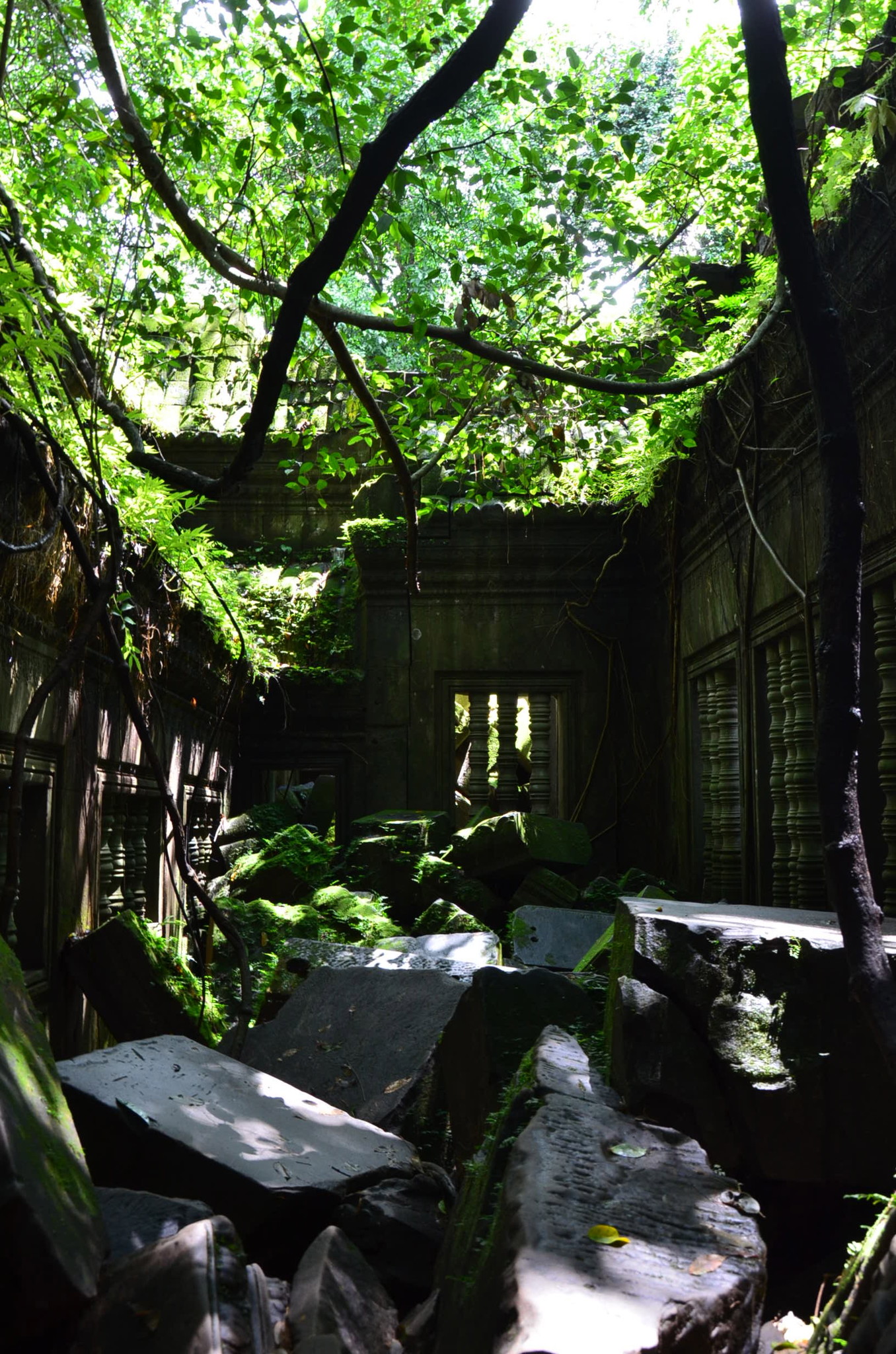 ベンメリア遺跡1