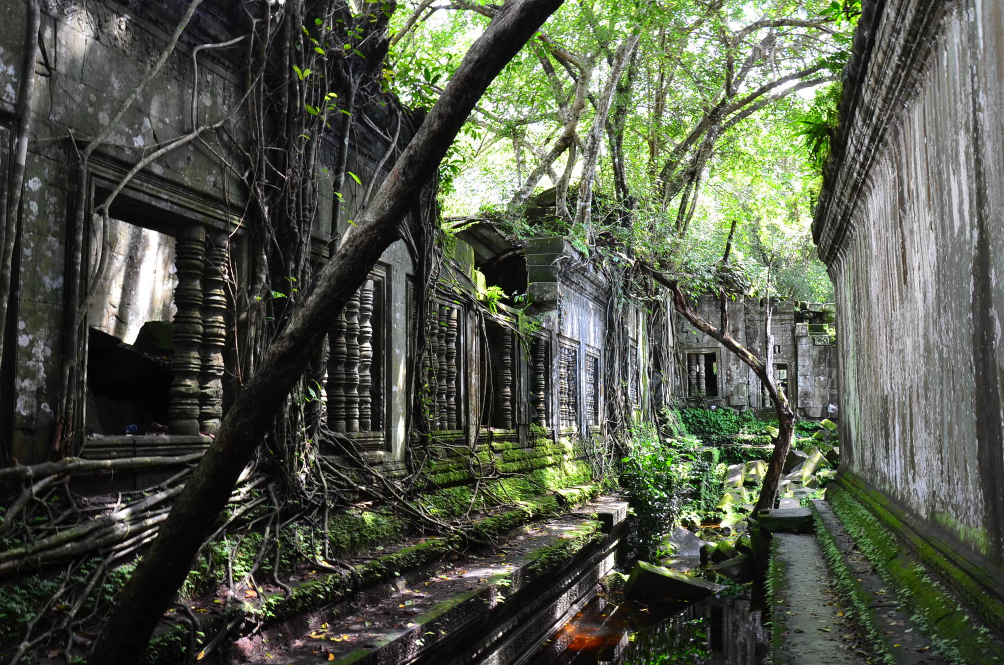 ベンメリア遺跡3